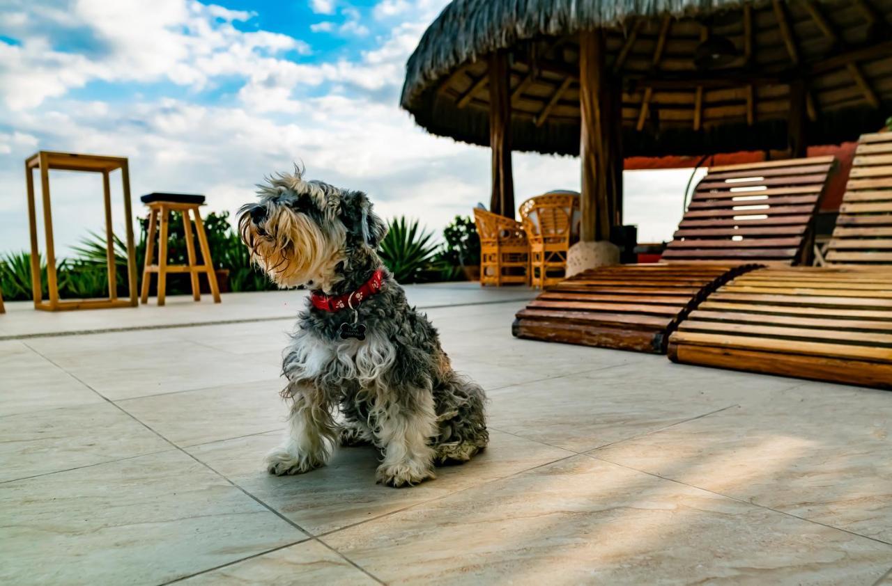 ساليناس Hotel Boutique Playa Canela Ecuador المظهر الخارجي الصورة